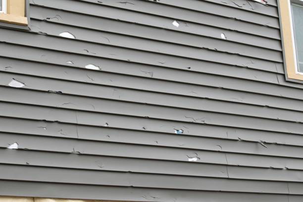 Affordable Siding Repair and Maintenance Services in Guntersville, AL